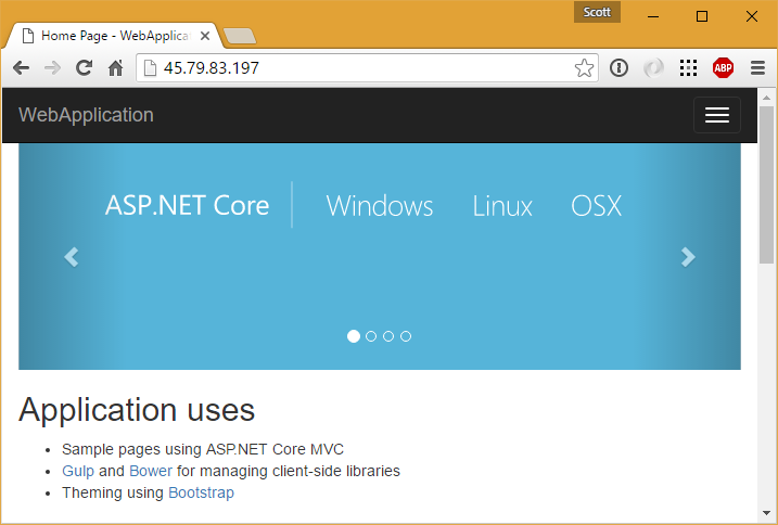 Hey it's my ASP.NET Core app on Linux