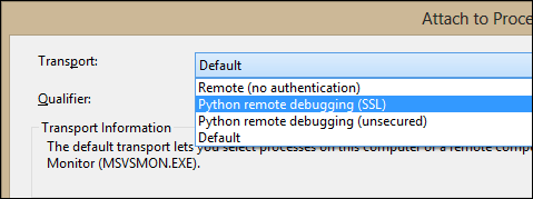 Setting up Python Debugging