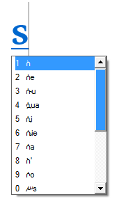 The Ethiopic IME