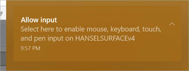 Allow input from the remote display Allow input from the remote display
