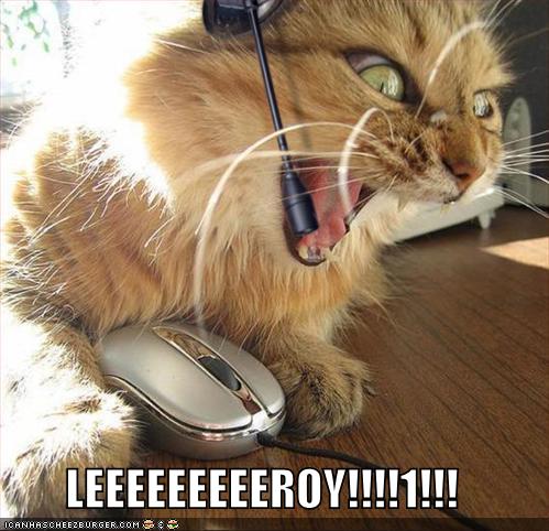 http://www.hanselman.com/blog/content/binary/lolcats-funny-pictures-leroy-jenkins.jpg