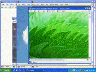 vista flip 3d