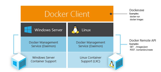 Docker will work on Windows and Linux Docker will work on Windows and Linux