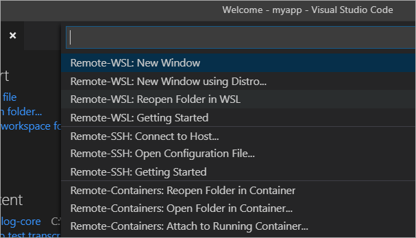 Remote options in VS Code Remote options in VS Code