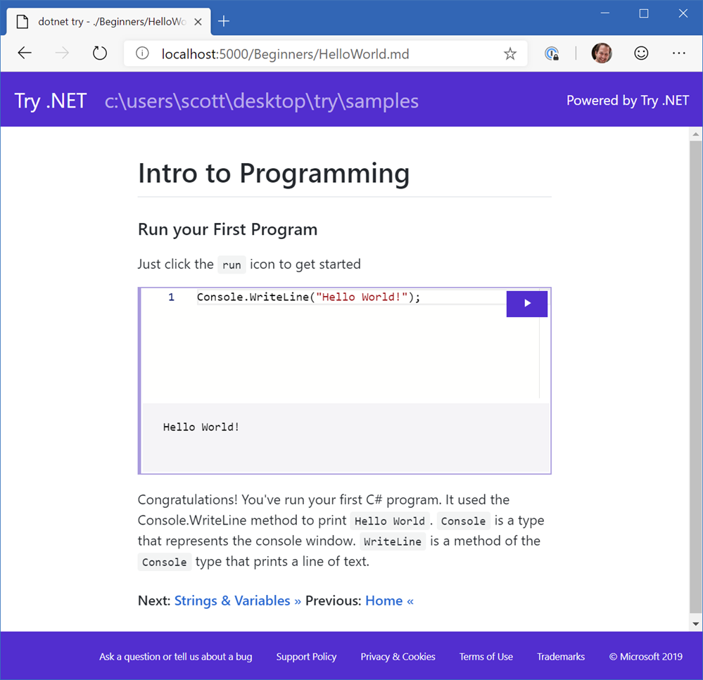 introducing the try net global tool interactive in dot net
