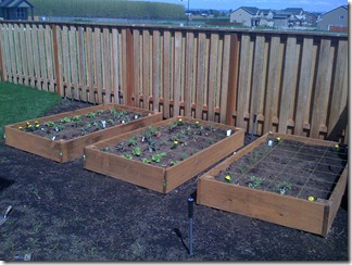 IMG_0160 IMG_0160